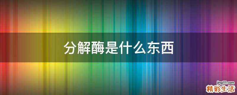 分解酶是什么东西