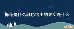 梅花是什么颜色结出的果实是什么