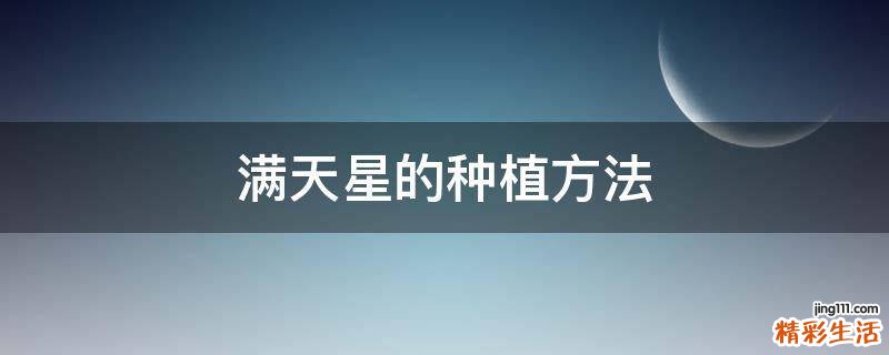 满天星的种植方法