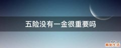 五险没有一金很重要吗
