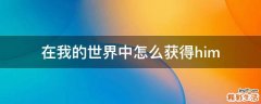 在我的世界中怎么获得him