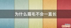 为什么眉毛不会一直长