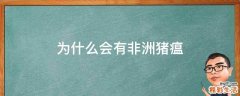 为什么会有非洲猪瘟