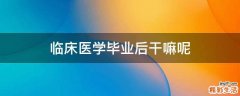 临床医学毕业后干嘛呢