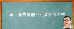 马上消费金融不还款会怎么样