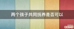 两个孩子共同抚养是否可以