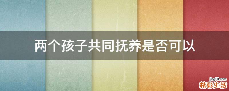 两个孩子共同抚养是否可以