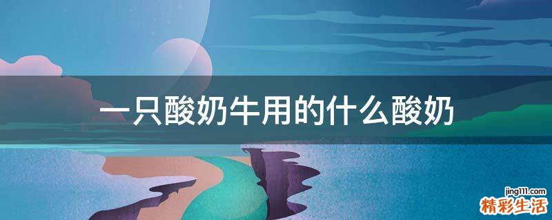 一只酸奶牛用的什么酸奶