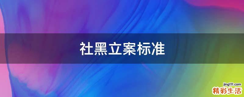 社黑立案标准