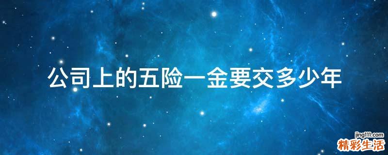 公司上的五险一金要交多少年