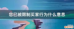 您已被限制买家行为什么意思