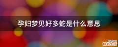 孕妇梦见好多蛇是什么意思