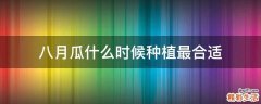 八月瓜什么时候种植最合适