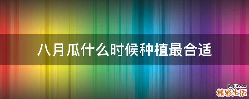 八月瓜什么时候种植最合适