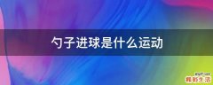 勺子进球是什么运动