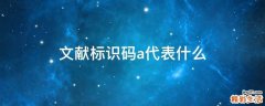 文献标识码a代表什么