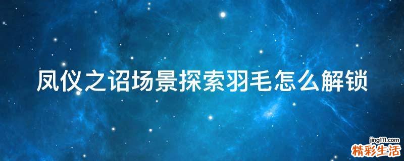 凤仪之诏场景探索羽毛怎么解锁