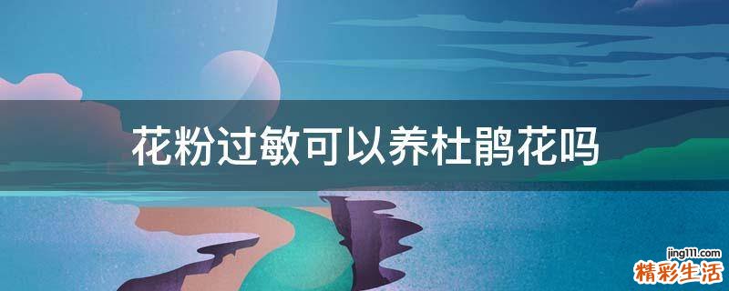 花粉过敏可以养杜鹃花吗