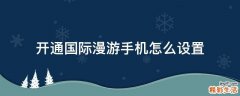 开通国际漫游手机怎么设置