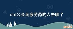 dnf公会卖疲劳药的人去哪了