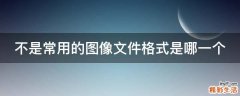 不是常用的图像文件格式是哪一个