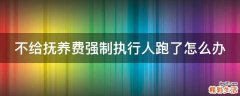 不给抚养费强制执行人跑了怎么办