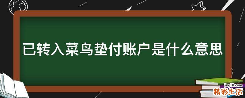 已转入菜鸟垫付账户是什么意思
