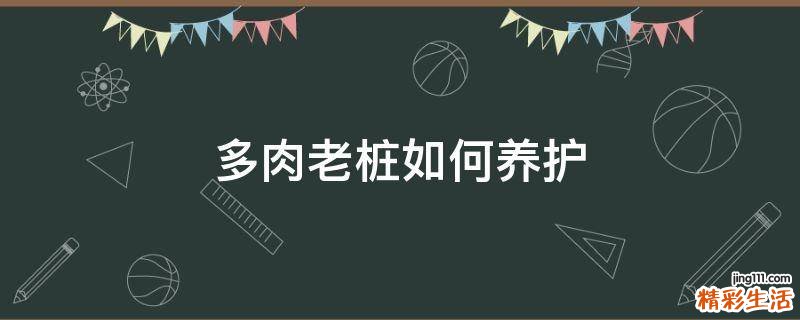 多肉老桩如何养护