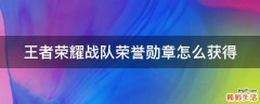 王者荣耀战队荣誉勋章怎么获得
