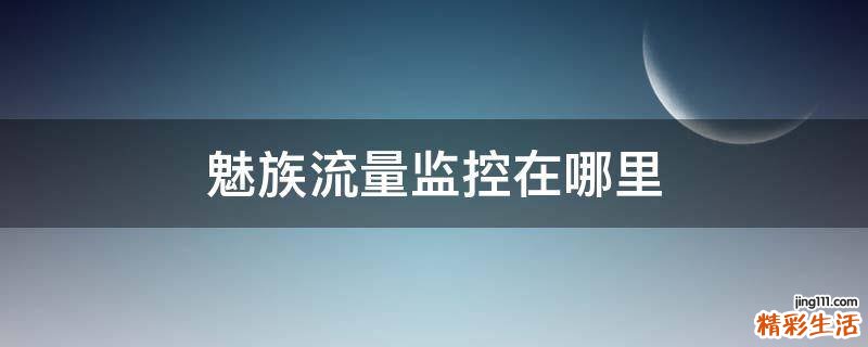魅族流量监控在哪里