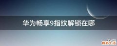 华为畅享9指纹解锁在哪