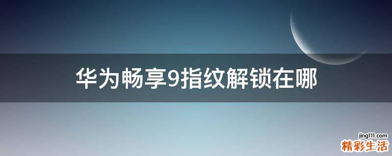 华为畅享9指纹解锁在哪