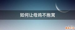 如何让母鸡不抱窝