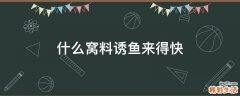 什么窝料诱鱼来得快