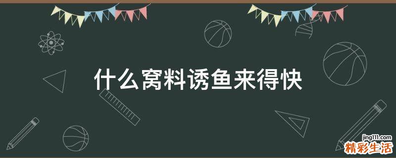 什么窝料诱鱼来得快