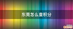 东莞怎么查积分