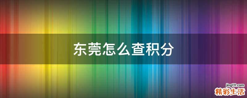 东莞怎么查积分