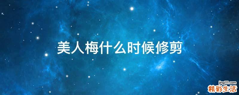 美人梅什么时候修剪