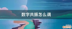 数字共振怎么调
