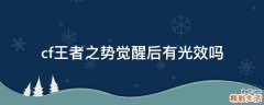 cf王者之势觉醒后有光效吗