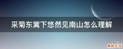 采菊东篱下悠然见南山怎么理解