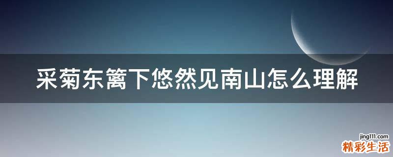 采菊东篱下悠然见南山怎么理解