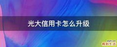 光大信用卡怎么升级