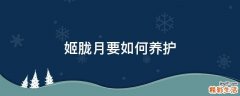 姬胧月要如何养护