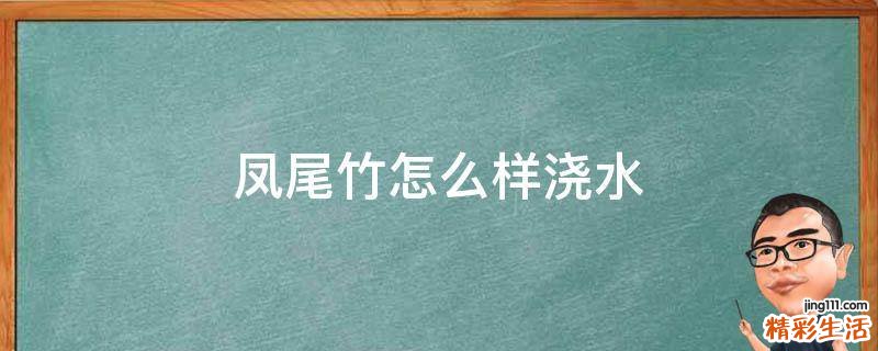 凤尾竹怎么样浇水
