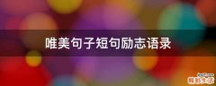 唯美句子短句励志语录