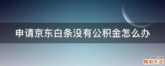 申请京东白条没有公积金怎么办
