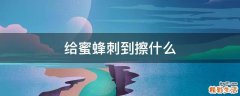 给蜜蜂刺到擦什么
