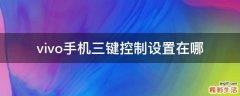 vivo手机三键控制设置在哪