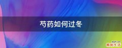 芍药如何过冬